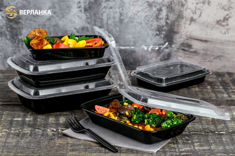 Disposable take-out containers with lid